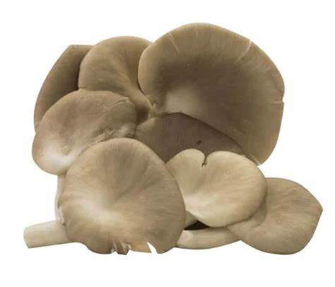 Nấm nâu tây Việt Nam 225g