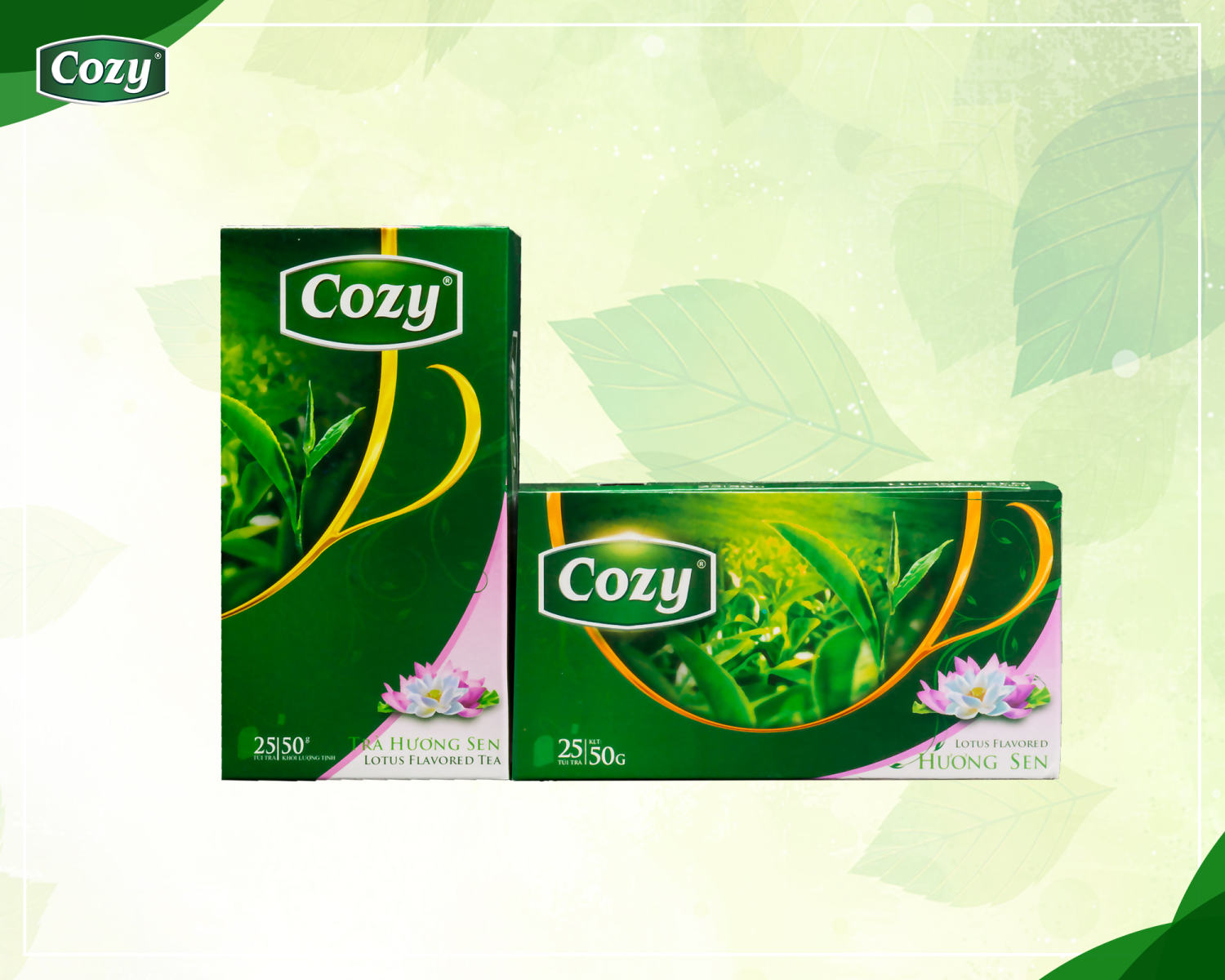 Trà Túi Lọc Cozy trà xanh hương sen 25 gói *2g/36