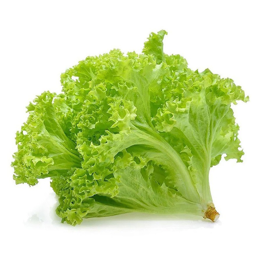 Rau xà lách Vietgap (Roman)(PLU 123)
