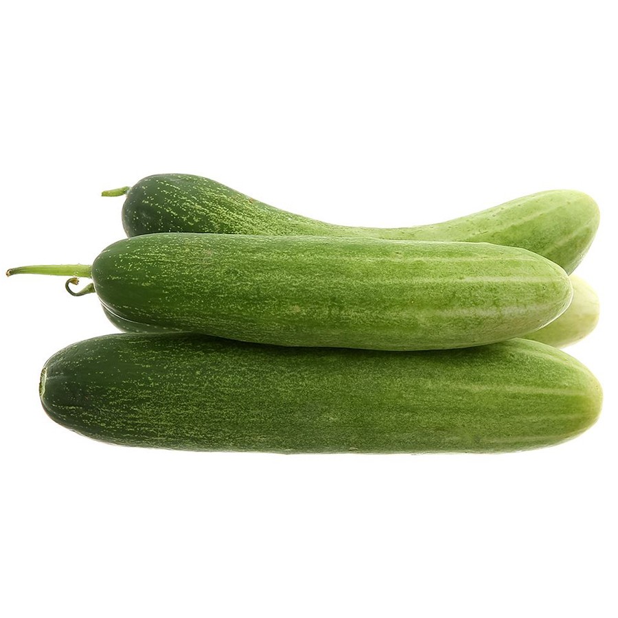 Dưa chuột (dưa leo) (PLU 55)