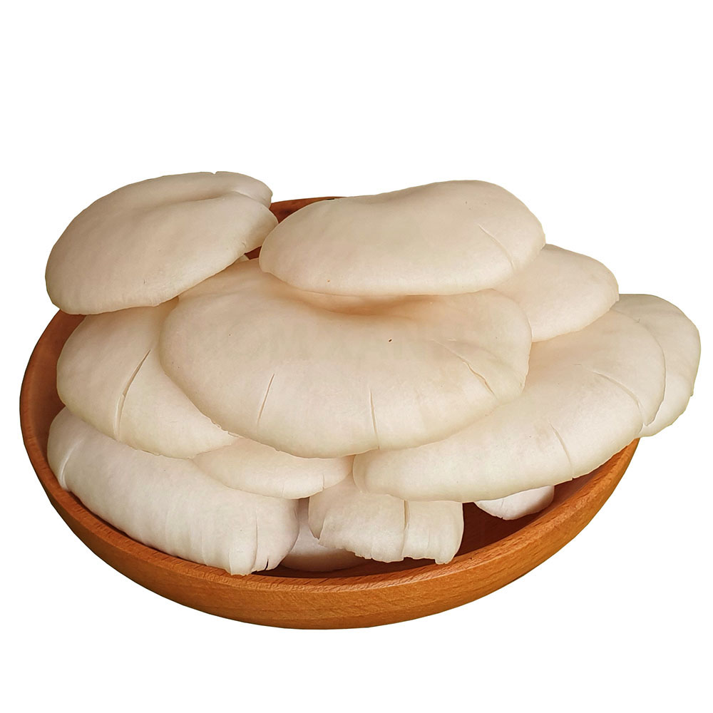 Nấm sò trắng Việt Nam 500g