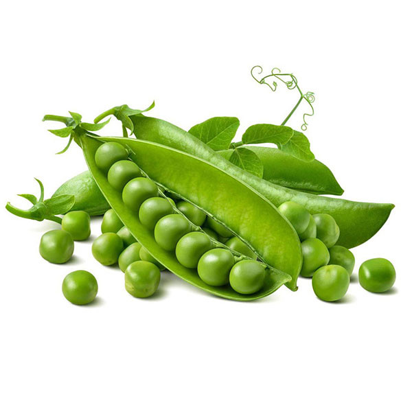 Đậu hà lan quả