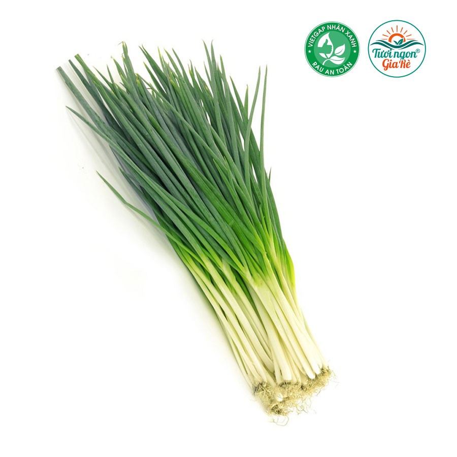 Hành lá Vietgap (PLU 59) - Rau Quả