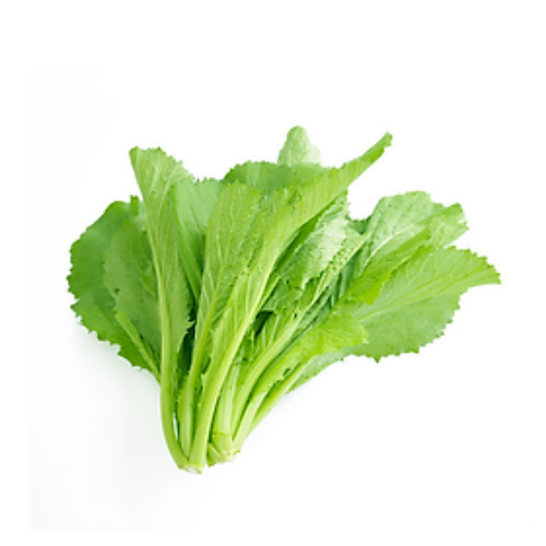 Cải canh (Cải xanh) Vietgap