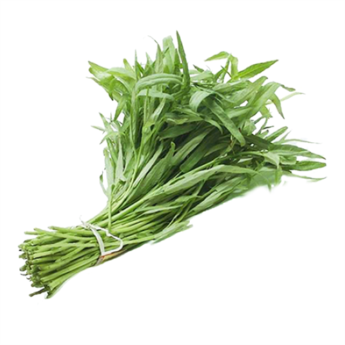 Rau muống Vietgap
