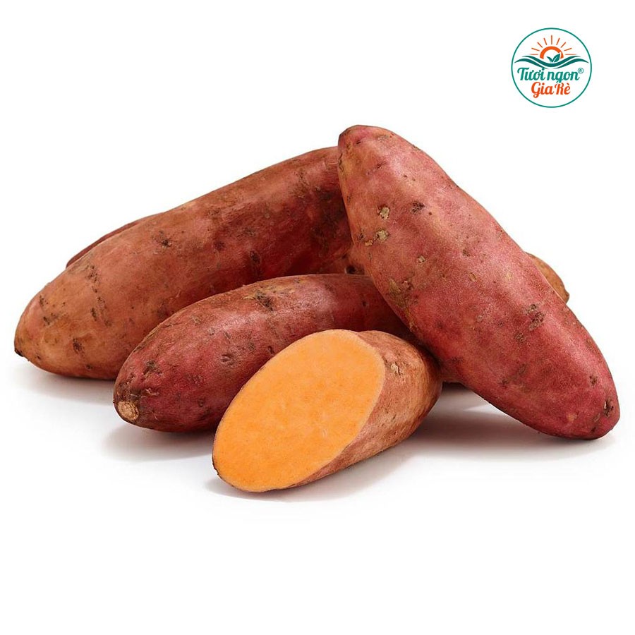 Khoai lang mật lào cai (PLU 162)