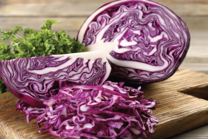 Bắp cải tím (PLU 3)