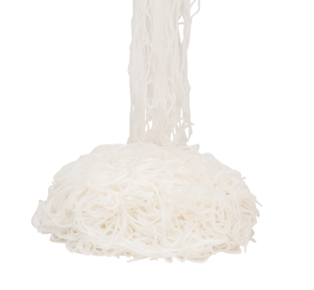 Phở tươi Vione 500g