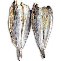 Cá mối khô Blue Sail 200g