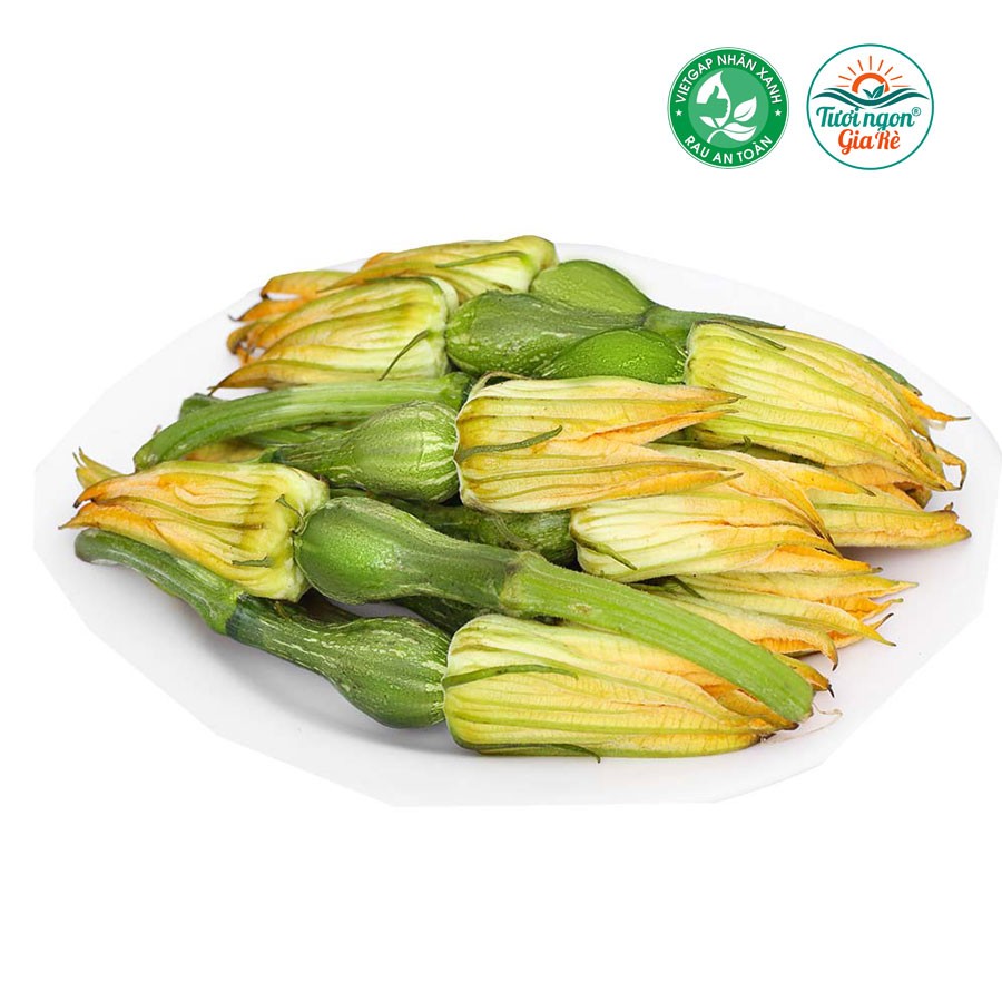 Bông bí/ Bí nụ (PLU1048)