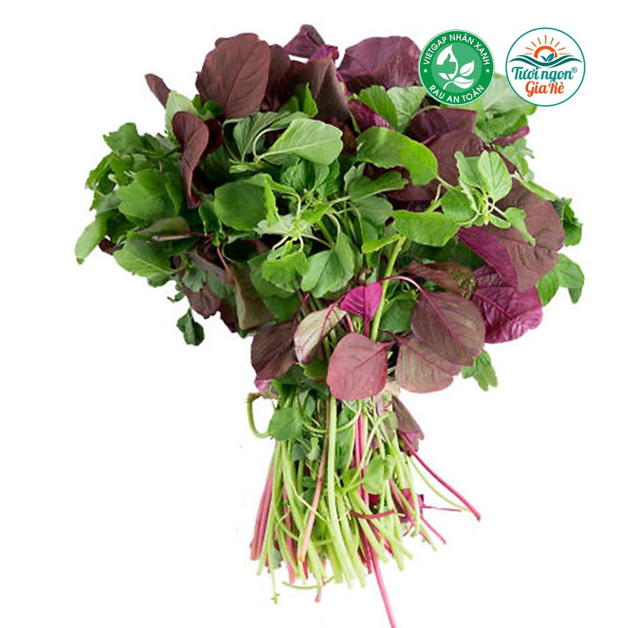 Rau dền Vietgap (PLU 110)
