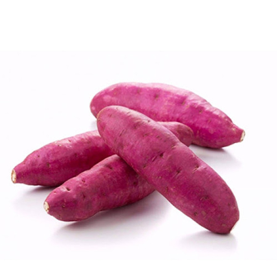 Khoai lang giống nhật (PLU 63)