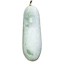 Bí thơm bắc cạn