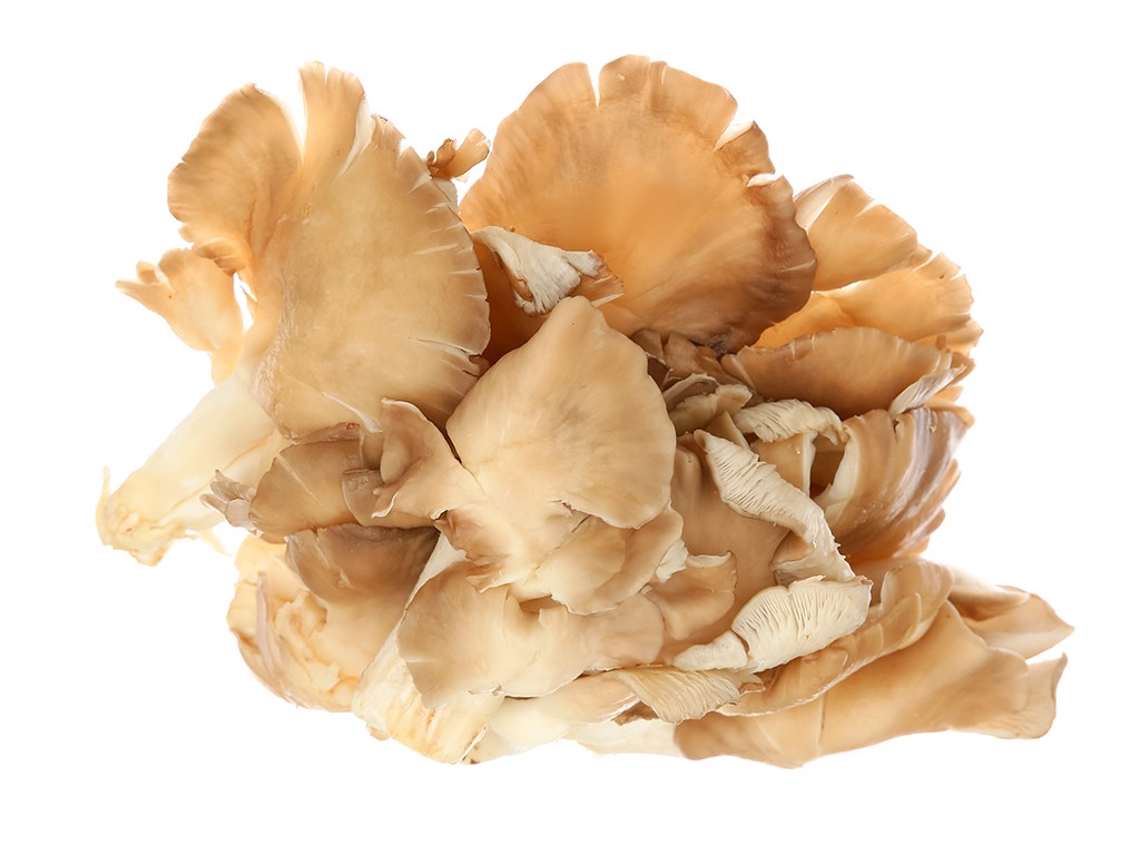 Nấm bào ngư xám GOG 300g