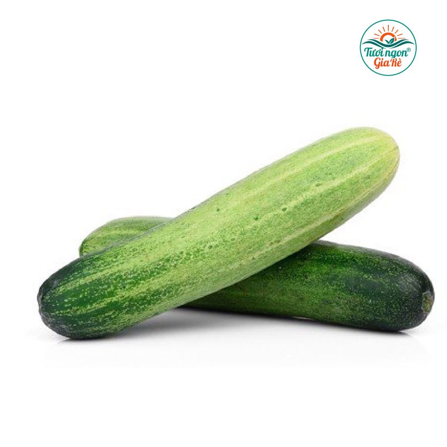 Dưa chuột (dưa leo) (PLU 55)
