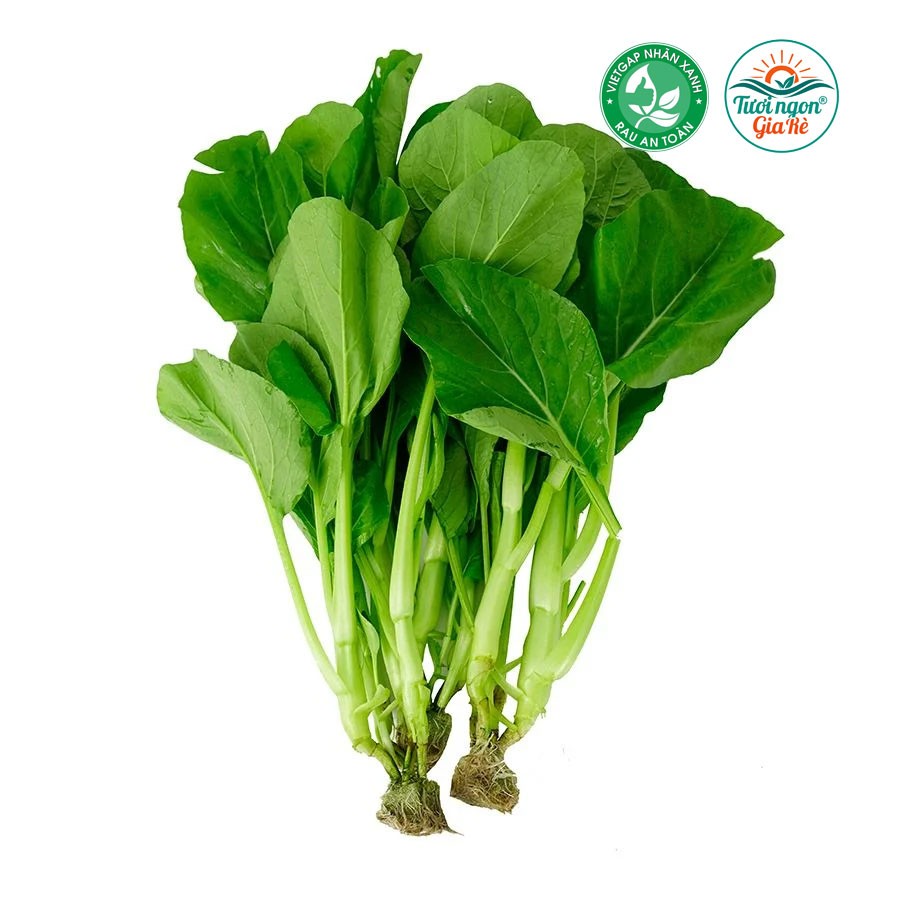 Cải ngọt Vietgap (PLU 32)