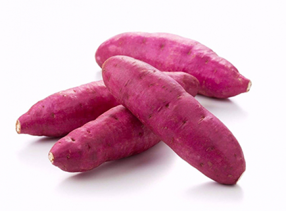 Khoai lang giống nhật