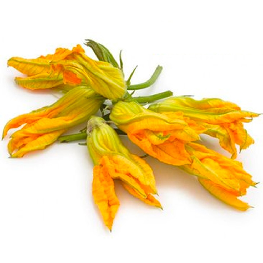 Bông bí/ Bí nụ (PLU1048)