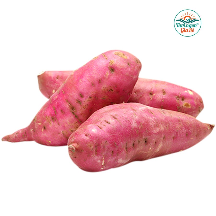 Khoai lang giống nhật (PLU 63)