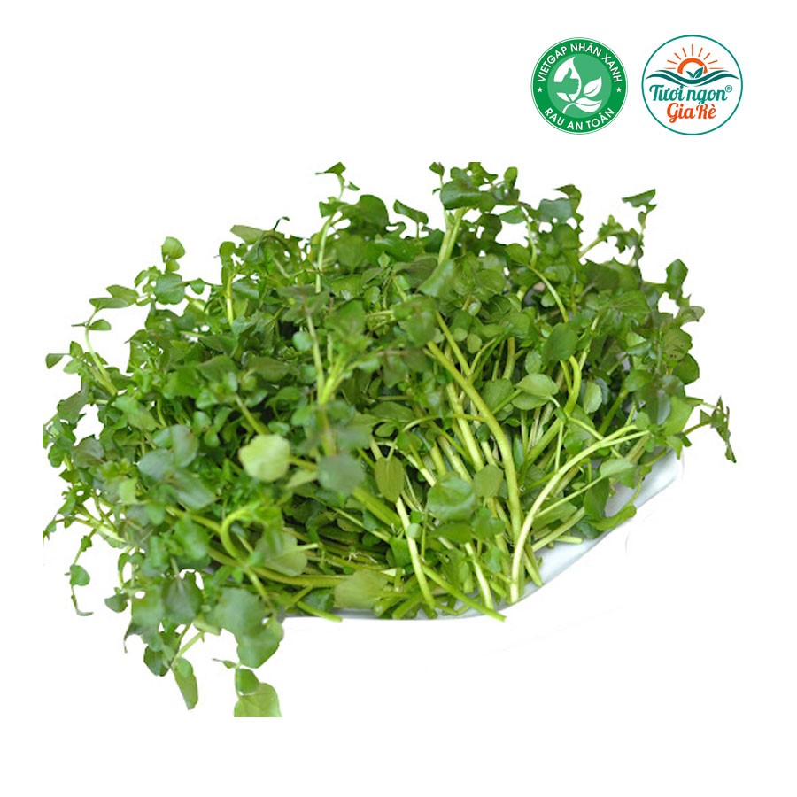 Cải xoong vietgap (PLU 105)