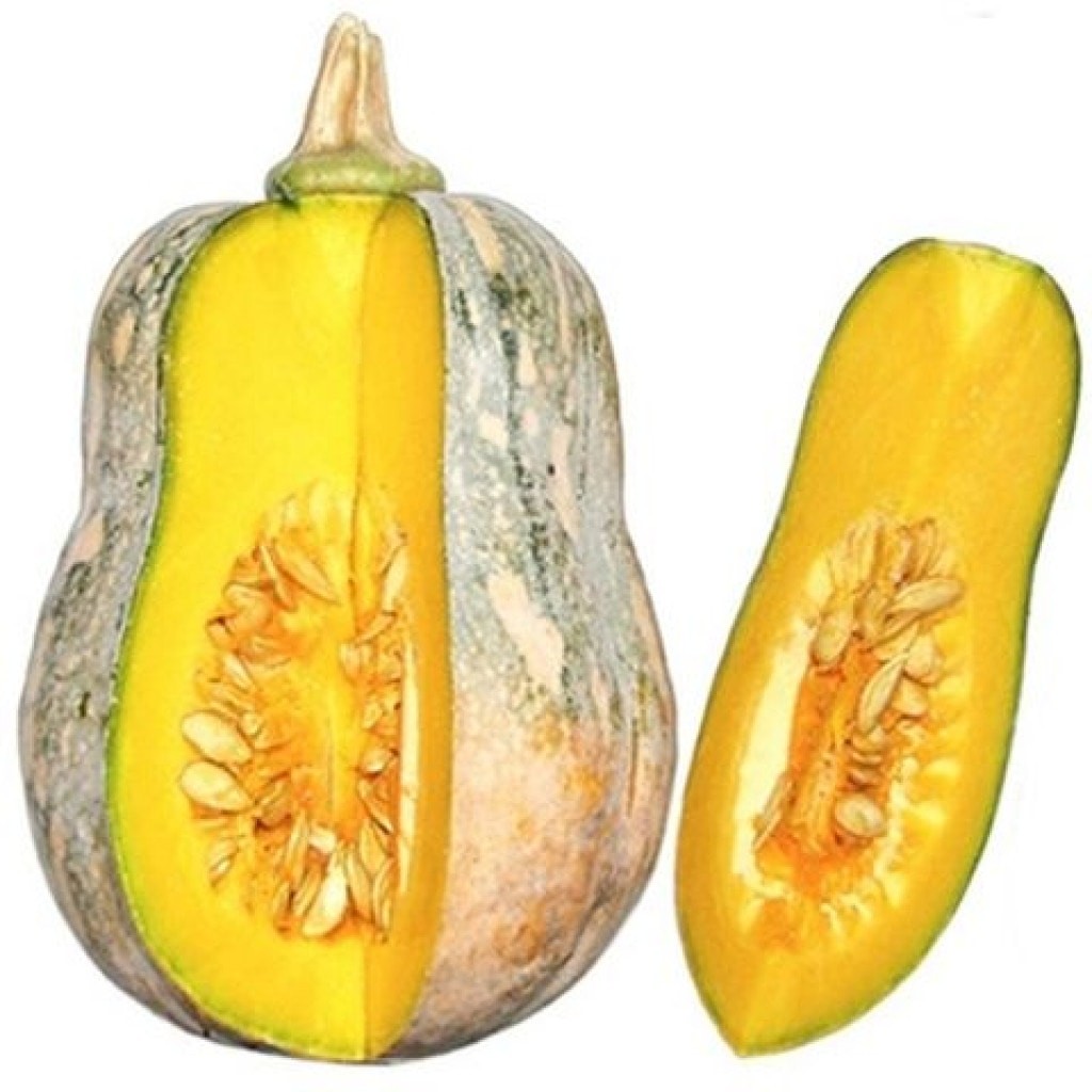 Bí ngô cô tiên (PLU 5) - Bí Hồ Lô