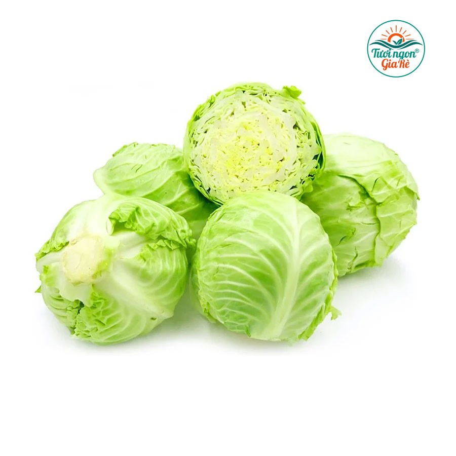 Bắp cải bắc (PLU 1)
